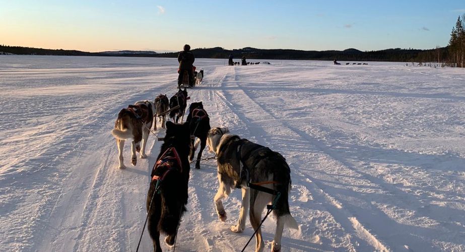 29 38 Lapland 40 29 38 Lapland 40